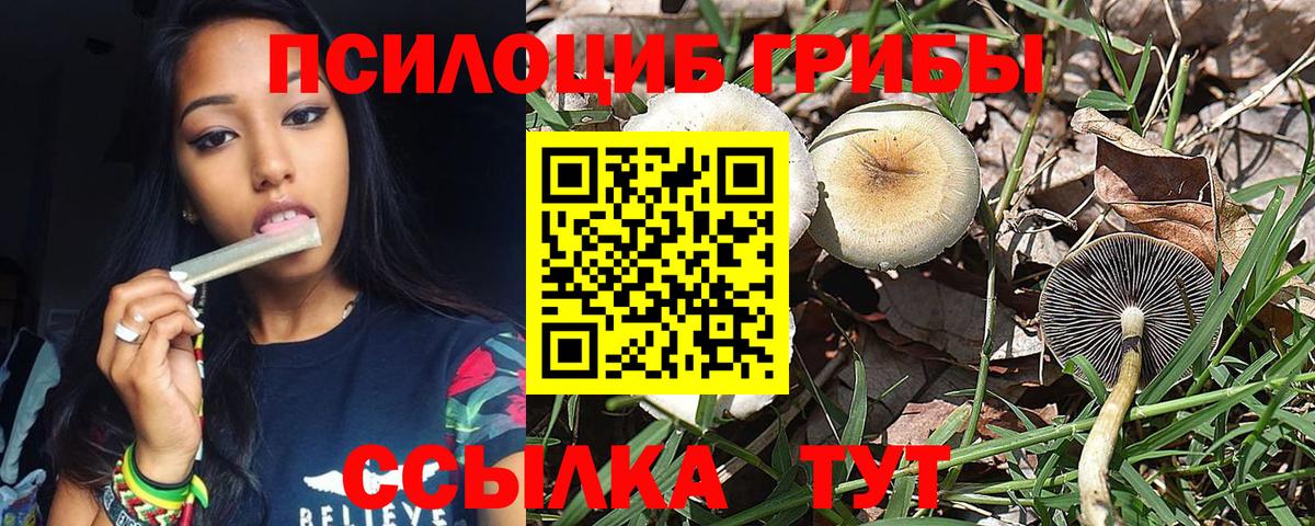 Псилоцибиновые грибы прущие грибы Стрежевой