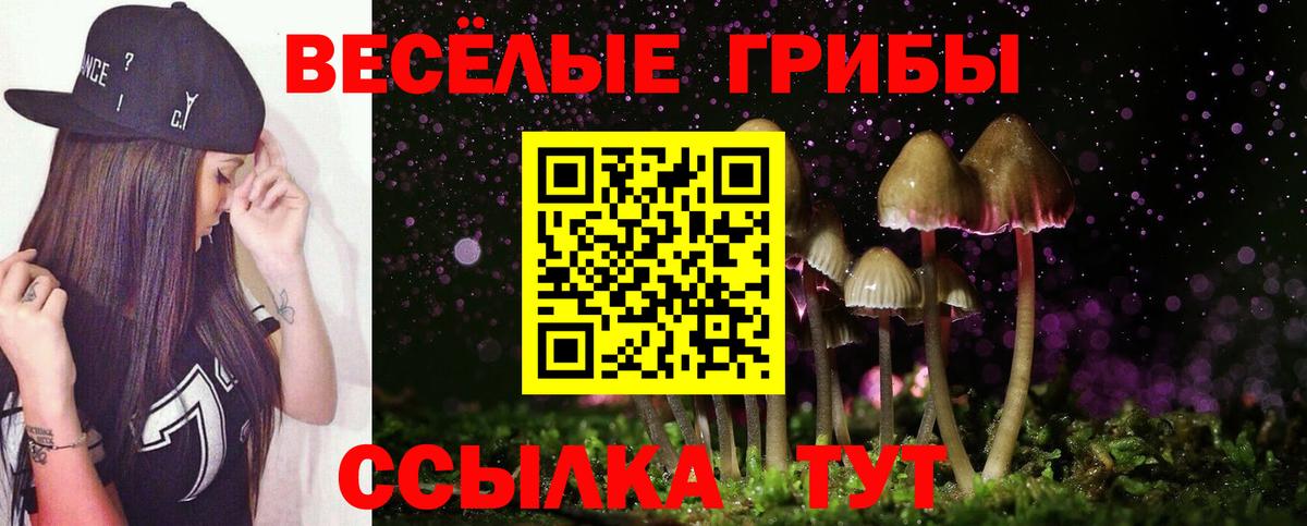 Стрежевой  наркота  Вход с VPN  Галлюциногенные грибы MAGIC MUSHROOMS 